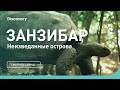 Занзибар | Неизведанные острова | Discovery Channel