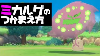 ミカルゲの入手方法【ポケモンBDSP（ダイパリメイク）】