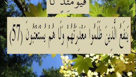 القران الكريم سورة الروم الأية 57.wmv