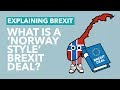 A Norway Style Deal Explained - Brexit Explained