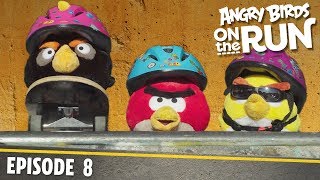 Angry Birds on The Run | Skate Board Mission - S1 Ep8