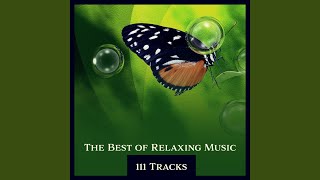 Calm and Soft Night Drift Harmonics