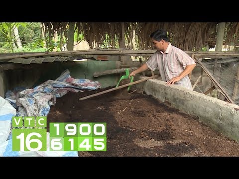 Video: Cây Có Thể Chỉ Phát Triển Trong Phân Ủ - Tìm hiểu Về Cách Trồng Cây Bằng Phân Nguyên Chất