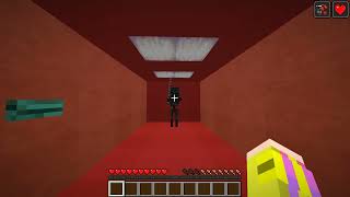 run for your life. on minecraft