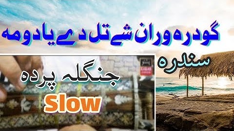Rabab Jangla Parda Slow And Fast Motion with pashto Sandara//Godhra waran she tal de yada wama