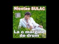 Nicolae Sulac - Colaj muzical