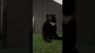 Formosan Black Bear Animations | Planet Zoo