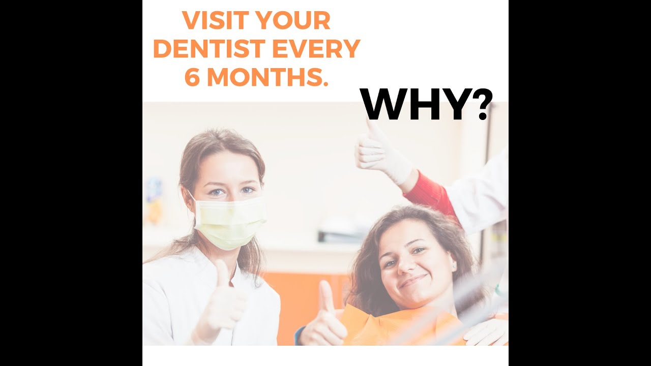 Time to visit your Dentist? Visit your Dentist every 6 months