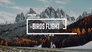Cinematic Documentary Romantic By Infraction [No Copyright Music] / Birds Flight