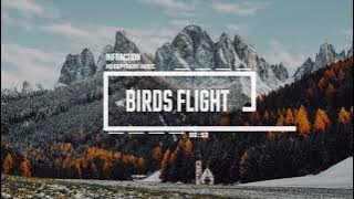Download lagu Cinematic Documentary Romantic by Infraction [No Copyright Music] / Birds Flight