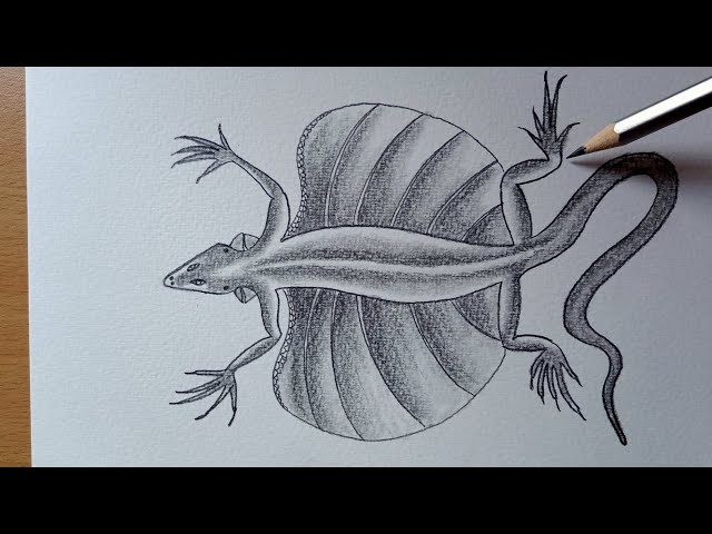 How To Draw A Lizard Step By Step 🦎 Lizard Drawing Easy | Easy drawings,  Drawing tutorial, Drawings