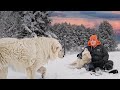 Farm Chores on a Snow Day