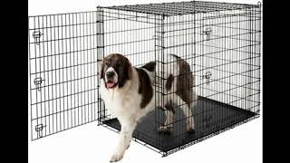 Download Lagu coming out of my cage and i been doing just fine MP3