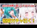 【NTE】恒常ガチャ引く!!貯めた恒常石を一気放出!!!【NTE: Neverness to Everness】