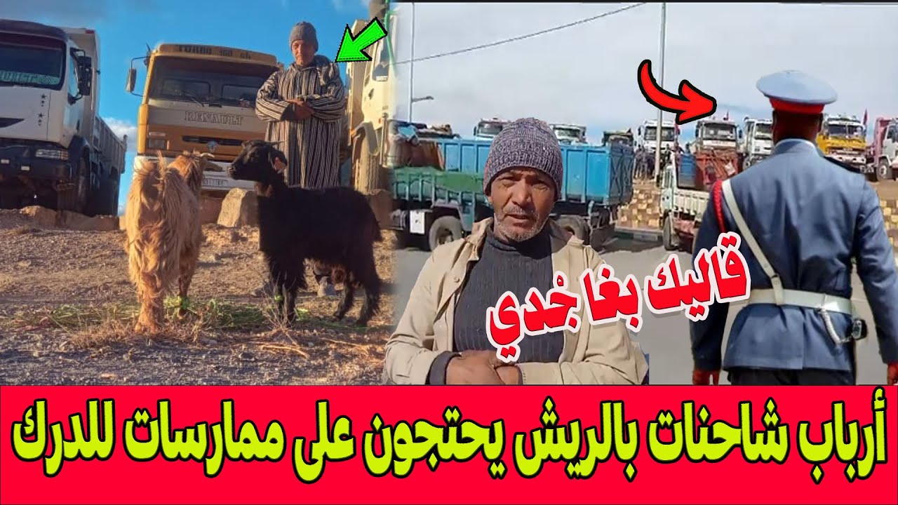 نايضة في الريش .. أرباب شاحنات يحتجون على ممارسات للدرك الملكي وشيفور يفجرها : دركي قاليا عطيني جدي!