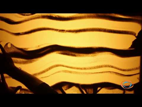 ქვიშის სამყარო - საცერიანი კაცი, უგუნური მცურავი (საბა) | ქვიშაზე ხატვა