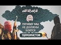 Почему мы не должны бояться терроризма? / Природа терроризма / Как реагировать на терроризм?