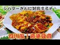 【シバターさんに対抗するどぉ】　四川風！麻婆豆腐