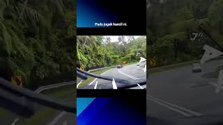 Padu Jugak Kancil Ni