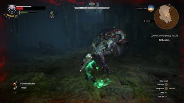 The Witcher 3 : How to Kill Howler - Contract : Mysterious Tracks 3rd Difficulty [PC]
