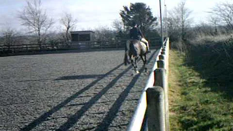Vicki Knight