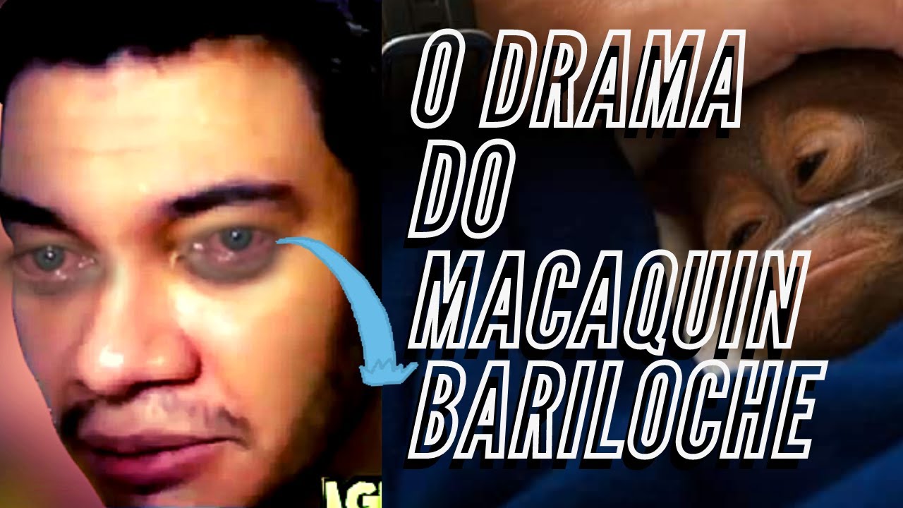 DRAMA DO MACAQUIN INTERNADO - CORTES @IguinhoLives - YouTube