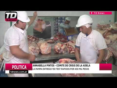 ANNABELLA PINTOS LA PAMPA ENTREGO 150 TEST RAPIDOS POR 450 MIL PESOS 04 05 21