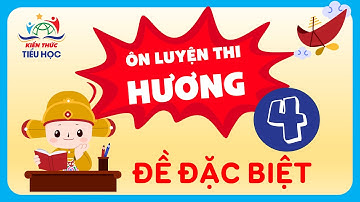 ĐỀ ÔN CẤP TỐC ĐẶC BIỆT - LỚP 4 - VÒNG THI HƯƠNG - TRẠNG NGUYÊN TIẾNG VIỆT (2024 - 2025)