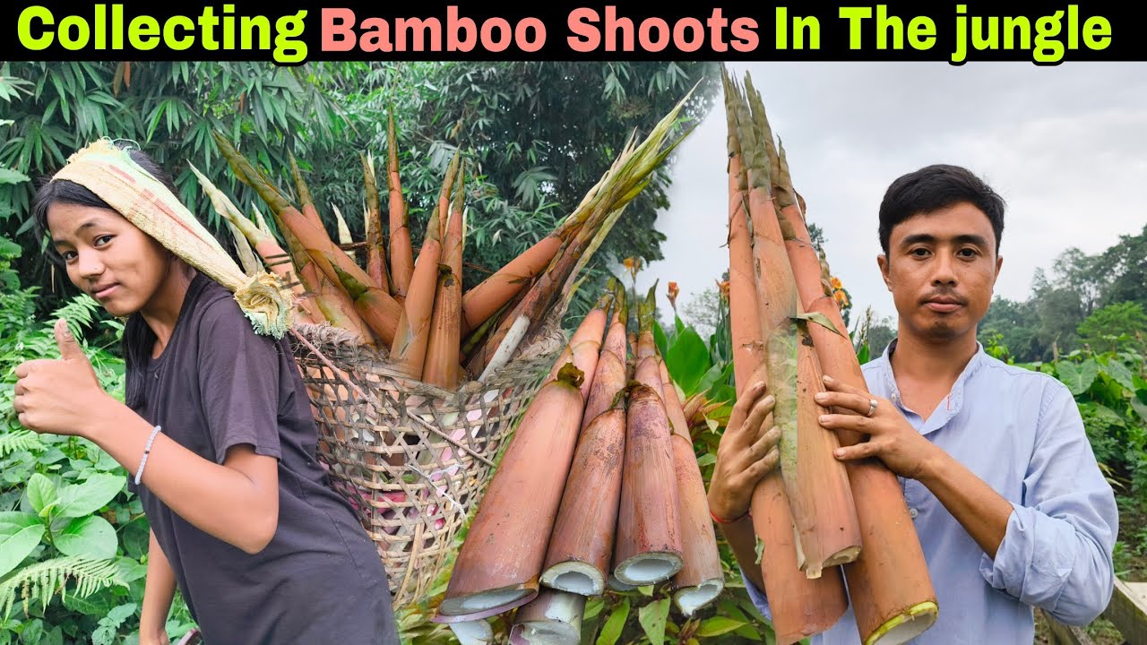 Collecting Bamboo Shoots & Wild Vegetable In Jungle | Mummy Ko Bukhar Hogaya 