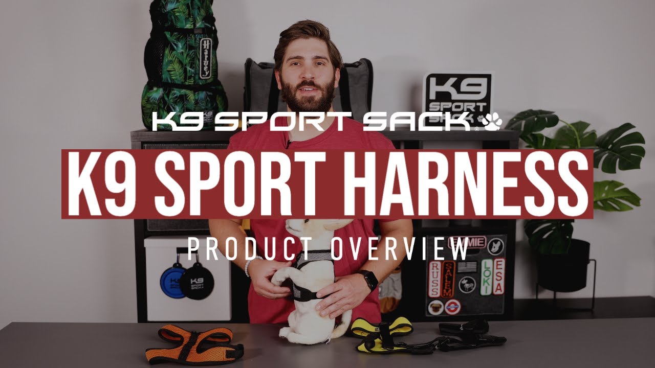 The K9 Sport Harness - Product Overview Video