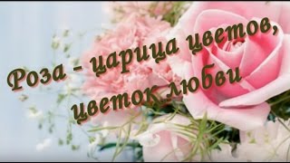 Роза - царица цветов. Очень красивое поздравление и прекрасная музыка Роза - царица цветов. Очень красивое поздравление и прекрасная музыка