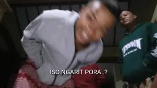 Iso ngarit pora
