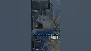 My first Kubrow experience! #gaming  #gamingshorts #warframe #warframegame