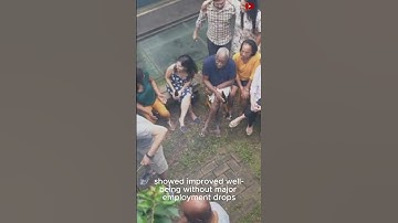 Should the U.S. Adopt Universal Basic Income (UBI) Because of AI Job Loss? (The Shocking Truth!)