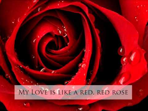 My Love is Like Red, Red Rose - Trad. arr. Simon Carrington - Tenebrae - YouTube