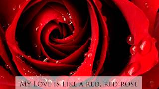 My Love is Like a Red, Red Rose - Trad. arr. Simon Carrington - Tenebrae chords