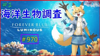 【forever blue luminous】海洋調査の旅＃1