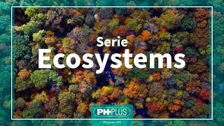 ADOPT A TREE | 🇬🇧 🇺🇸 ​Micro Serie ECOSYSTEM | Proyecto AVE - PH-Plus | No. 1/24.