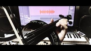 エミール 犠牲(Emil - Sacrifice) / Nier Replicant & Gestalt バイオリンで弾いてみた