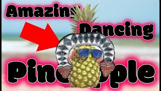 Amazing Dancing Pineapple Indigenous Taiwan Edition