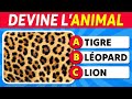 Peuxtu deviner 40 animaux avec une seule image 