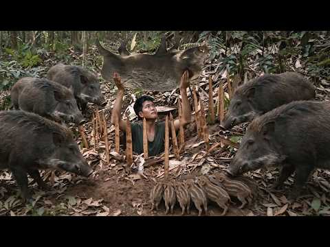 Build a strong trap to catch a giant wild boar | Survival skills in the deep jungle