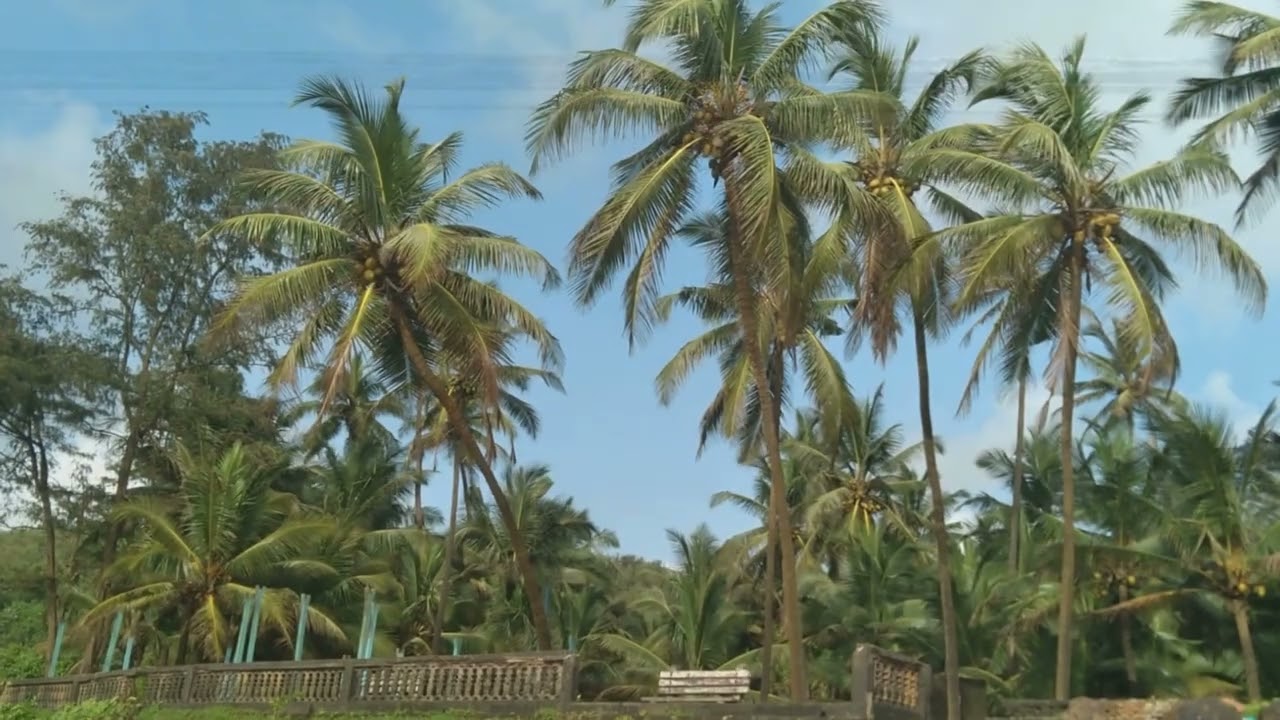 Exploring Velneshwar Beach | Best Offbeat Beach in Maharashtra 