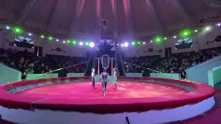 Circus number 'Swing' & Цирковой номер ' Качели '