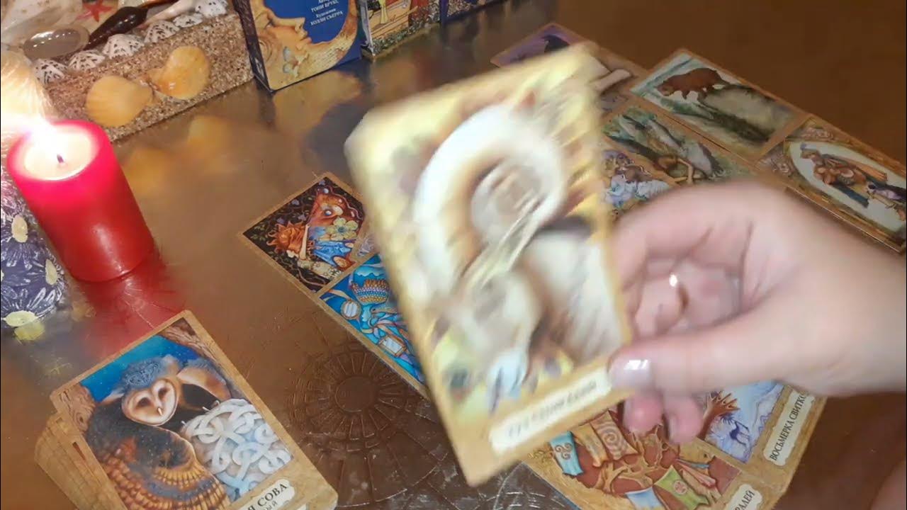 ворожея таро расклады. ворожея таро расклады. ворожея таро расклады. ворожея таро расклады. гадалка таро фановая.