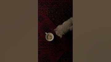 تلاوة مريحة للقارئ : #اسلام_صبحي 🎧🤍| #قرآن #تلاوة_هادئة #اكسبلور #القرآن_الكريم