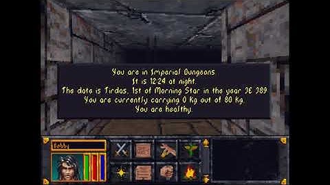 Installing "The Elder Scrolls: Arena" with better controls (2020)