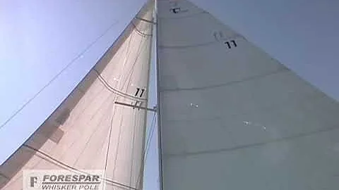 Forespar Whisker Pole