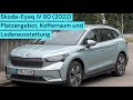 Skoda Enyaq iV80 in Lederausstattung: Platzangebot, Kofferraum und wo das Leder überall ist