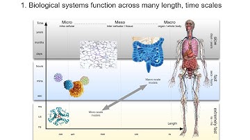 Intro to systems biology